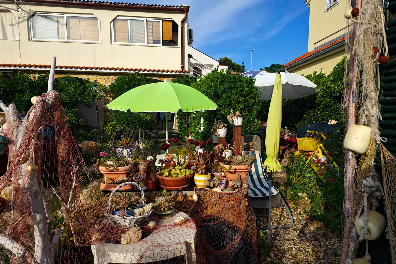 Dalmatian garden